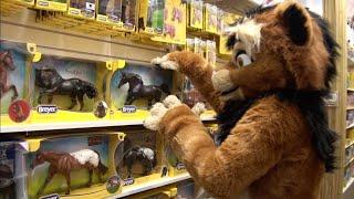 Kitwana Lion Goes Shopping For Breyer Model Horses at Toy Traders in Langley, BC