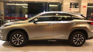 2022 Lexus RX300 large SUV in-depth Walkaround