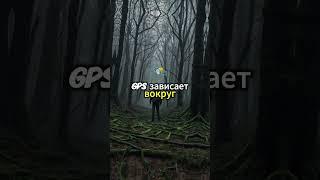 Аокигахара – лес самоубийц. Лес который не отпускает.