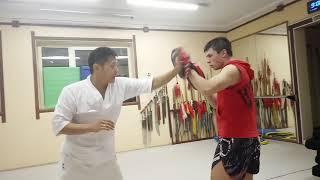 Метод отработки рубящего удара в синъицюань A splitting training in xingyiquan 形意拳 劈拳 训练方式