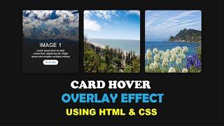 css card hover effects html css || card animation html css