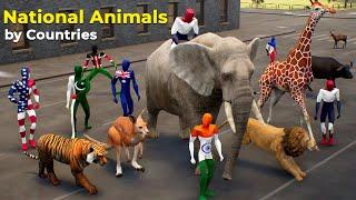 National Animal By Countries | #nationalanimal 2025