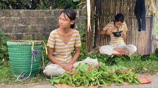 Orphaned girl goes to the forest to pick vegetables to sell and cook