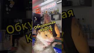 Про Обкуренную Крысу