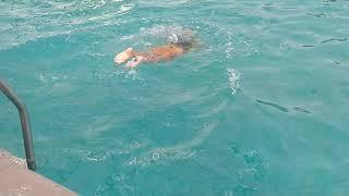 How to swim