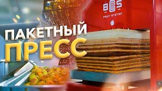 Пакетный пресс + дробилка BCS