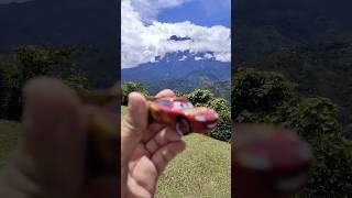 Doc Hudson and McQueen trip to Kundasang Borneo Sabah 