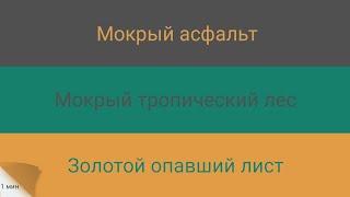 ️Быстрая смена цветов!️1 мин (Мокрый асфальт, мокрый тропический лес, золотой опавший лист)