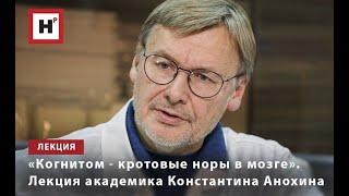 «КОГНИТОМ ― КРОТОВЫЕ НОРЫ В МОЗГЕ». ЛЕКЦИЯ АКАДЕМИКА КОНСТАНТИНА АНОХИНА