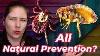 Ultimate Flea & Tick Prevention | Vet's Voice