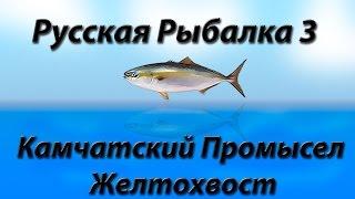 Русская Рыбалка 3.9 Камчатский Промысел Желтохвост