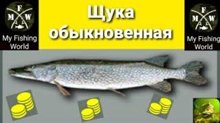 My Fishing World Щука обыкновенная ловим одну за другой