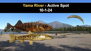 Russian Fishing 4, Yama River - Active Spot 10-1-24