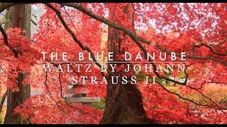 The Blue Danube - WALTZ BY JOHANN STRAUSS II