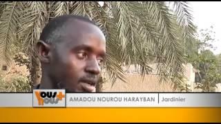 les agriculteurs du Niger s'essayent à la télé-irrigation.