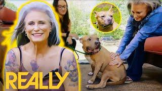 Potential Adopter Instantly Falls In Love With Stray Dog Kiesha | Pit Bulls & Parolees