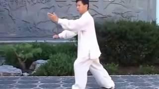 Tai Chi Quan Yang Style Traditional  108 form