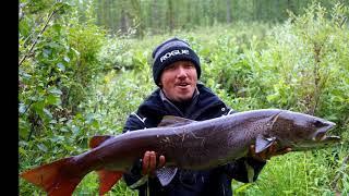 Мгновения рыбалки. Плато Путорана 2018 год.  Fishing on the Putorana plateau