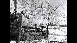 Hummel, Nashorn, Stug III, Sdkfz. 250/9, Wespe in action