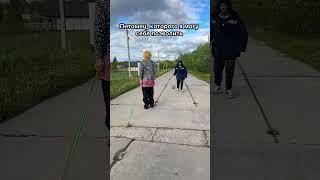 Камень питомец 