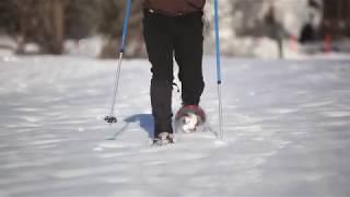 How-to-Snowshoe: Learn the basics from the experts | L.L.Bean