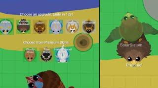 Getting Golden Shahbaz for the first time - Mope.io