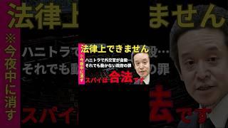 テレビでは言えない　#浜田聡 #切り抜き #政治 #政治切り抜き #外務大臣 #スパイ防止法
