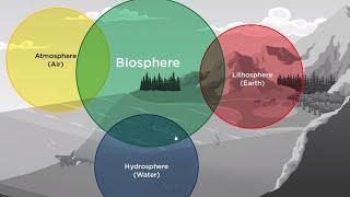 Earth's Interconnected Cycles