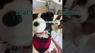 He was flabbergasted #essa #stuffedanimals