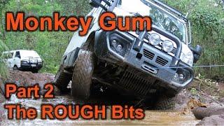 Monkey Gum - Yalwal  PART 2 L300 vans, Iveco EarthCruiser & a stock Landcruiser