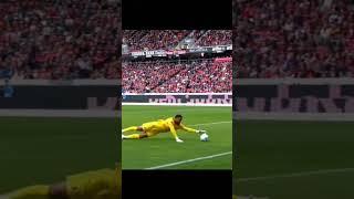 Rare goalkeeper moments 