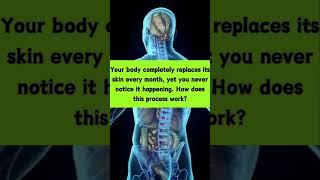 Your Skin Renews Every Month!  #HumanBody #SkinFacts #facts #shorts #viral  #science