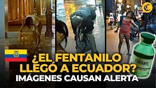 FENTANILO EN ECUADOR: Imágenes crean ALERTA ante posible llegada de POTENTE DROGA | El Comercio