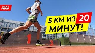 План подготовки и гонки для быстрой пятёрки!  Выбегаем 5 км из 20 минут 