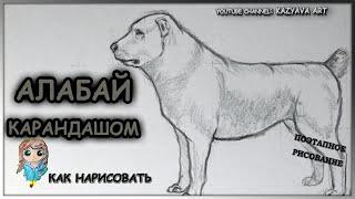 Как нарисовать собаку породы АЛАБАЙ карандашом. Среднеазиатская овчарка. Мастер-класс