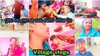 ନାନୀ ଙ୍କ ଘରେ କେମିତି କଟିଲା //sasmita Village vlogs #vlog #family #dailyvlog #odia #daily#odiabohu#