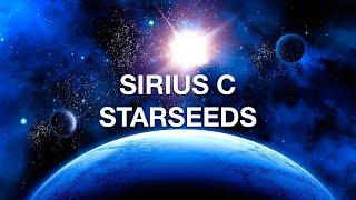 Sirius C Starseeds