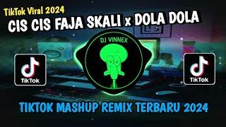 CIS CIS FAJA SKALI x DOLA DOLA TIKTOK MASHUP REMIX TERBARU 2024