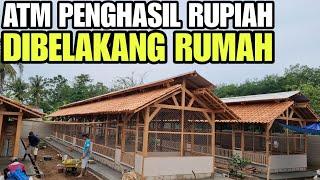 WAJIB TAU‼️KANDANG AYAM KAMPUNG IDEAL