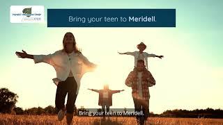 Experiential Therapy at Meridell