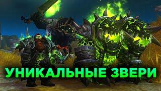 Уникальные Звери для Охотника в WoW TBC Classic!