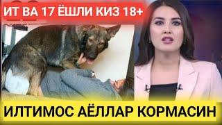 17 ЁШЛИ КИЗ ИТ БИЛАН АЛОКА ИЛТИМОС АЁЛЛАР КОРМАСИН.TREND NEWS