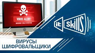 Вирусы шифровальщики | Защита от шифровальщиков #itskills #сисадмин