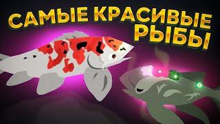 Cat Goes Fishing. ЭТИ РЫБЫ ВАС УДИВЯТ! (САМЫЕ КРАСИВЫЕ РЫБЫ В ИГРЕ)