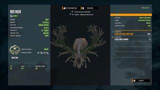 TheHunter: Call of the wild PS5 2nd Red deer Great one grind Highlights