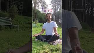 Prana Mudra | Increase energy Hand Gesture #yogamudra #pranamudra #vitality #energy