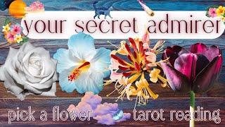 Who Has A Secret Crush On You? Their Next Move? What's Next?| Pick A Card Tarot Reading For Love