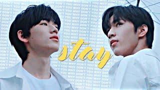 Let's wait for the rain to stop ▻ why don't you stay