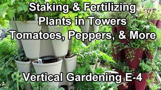 Vertical Gardening: Staking Tomatoes, Peppers &  More - Water Soluble Fertilizing & Worm Casting Tea