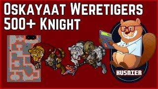 Oskayaat Weretigers | 500+ Knight | Tibia